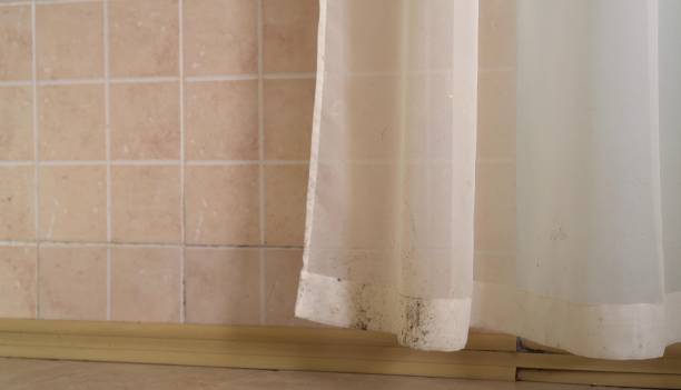 Best Commercial Mold Inspection  in Red Bank, NJ