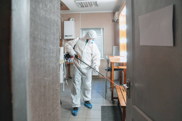 Best Post-Remediation Verification Testing  in Red Bank, NJ