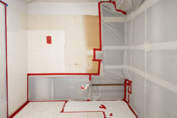 Best Mold Remediation for Rental Properties  in Red Bank, NJ