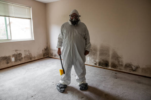 Best Residential Mold Inspection & Testing  in Red Bank, NJ